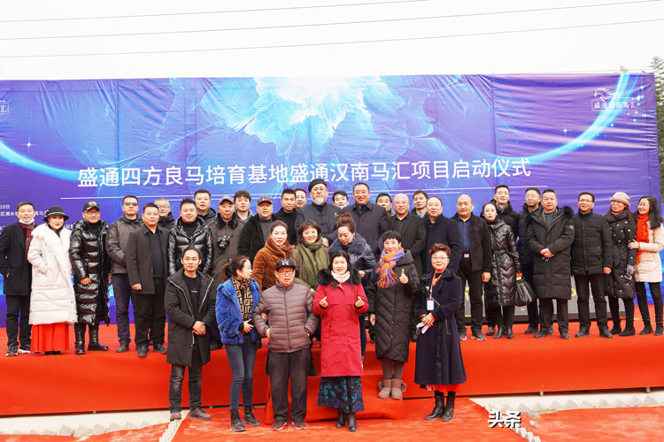 热烈庆祝汉中马术第一家,盛通四方良马培育基地-盛通汉南马汇项目启动仪式圆满成功